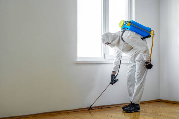 Best Pest Control for Businesses  in Hanna City, IL