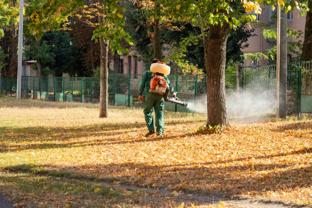 Wasp Removal Services in Hanna City, IL